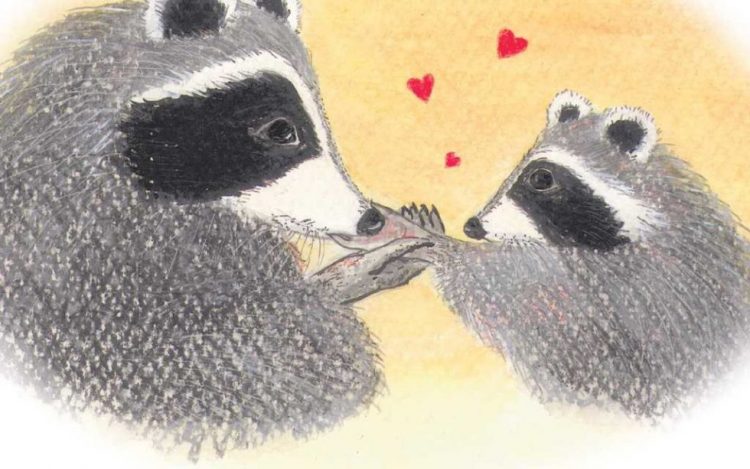 raccoon kissing hand cartoon. Love is in the air for raccoons.