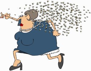 a cartoon lady running away from a swarm of wasps. Wasp stings