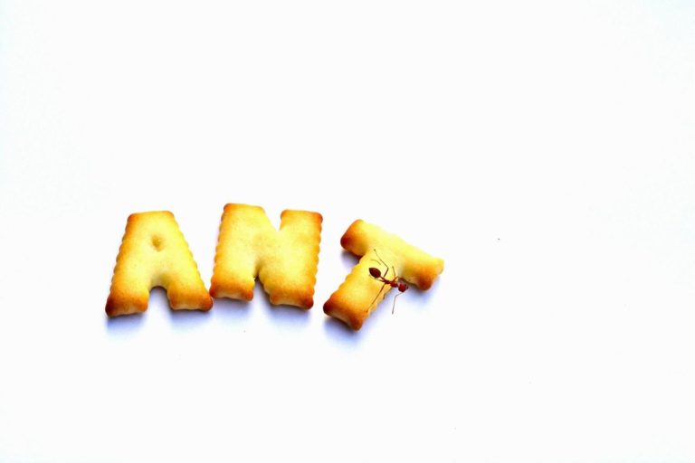 Yellow cracker spelling ant with an ant on the letter T. Ants in house