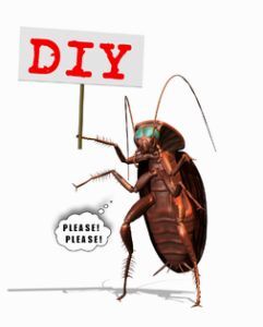 a cartoon cockroach for DIY pest control vs professional