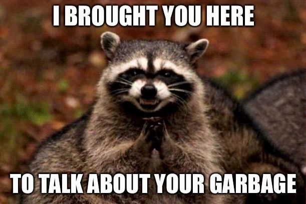 raccoon meme saying "I brought you here to talk about your garbage"