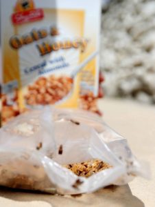 Cereal with pantry bugs