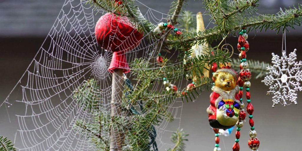Christmas pests. Branch of a Christmas tree with a spider's web