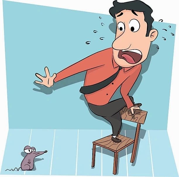 A cartoon of a man standing on a chair afraid of a mouse. Funny pest videos.