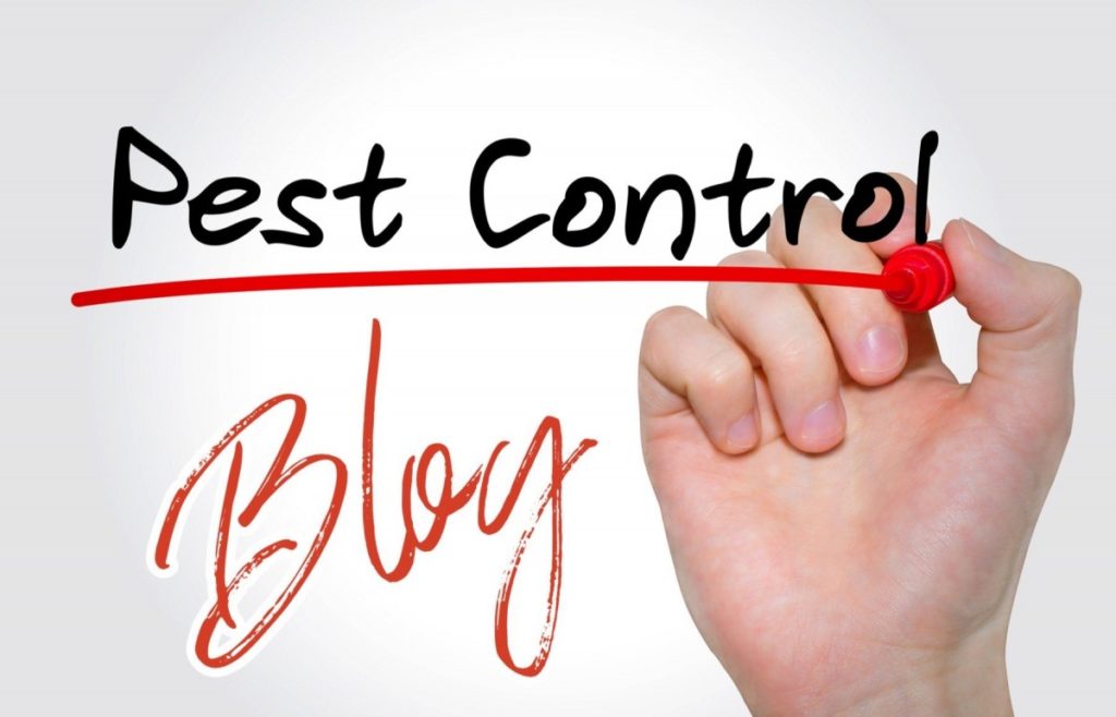 A hand writing Pest Control blog on glass.