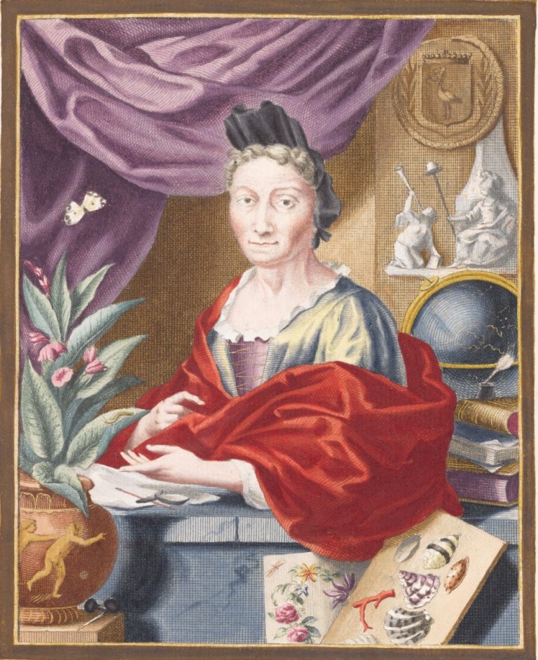 maria sibylla merian portrait