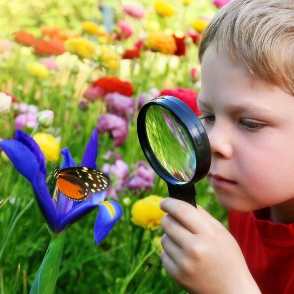 boy with magnifying glass looking at the naked truth about bugs