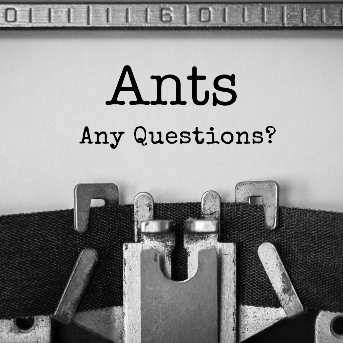 Ants In Your Pants Meaning Slang