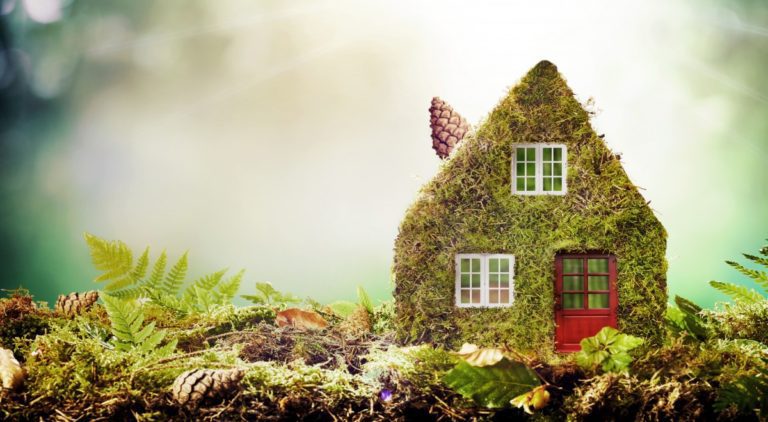 A house covered in moss. They use non toxic pest control