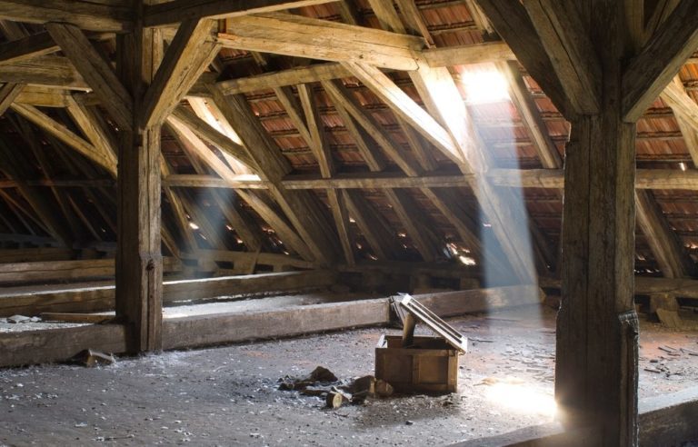 attic rodent clean up