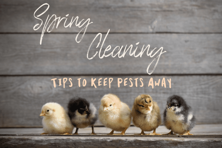 Pest Prevention Tips