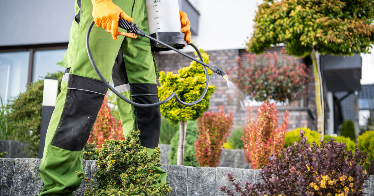What Time of Year Is Best for Pest Control?