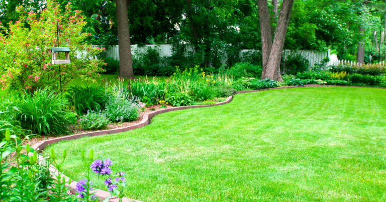 Pest Control and Sustainability: How to Control Pests While Minimizing Your Environmental Footprint