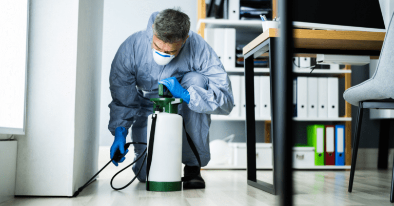 Pests in the Workplace: Best Practices for Businesses and Offices