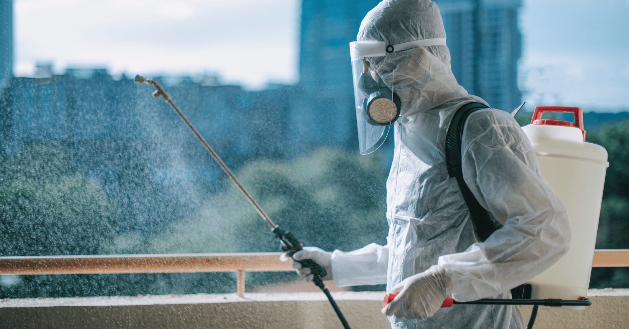 School Insect Control Safeguarding Schools and Playgrounds: Pest Control for Educational ...