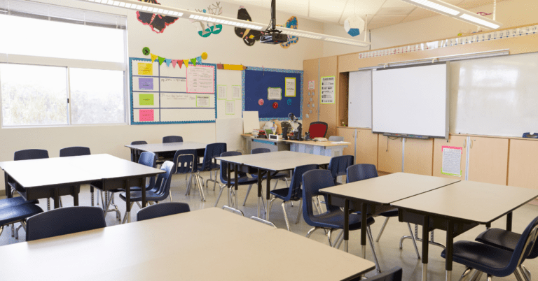 Safeguarding Schools and Playgrounds: Pest Control for Educational Institutions