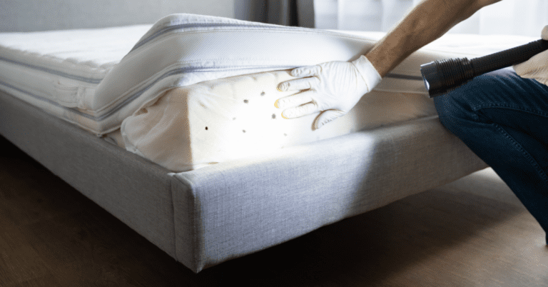 How Long Does It Take to Get Rid of Bed Bugs Completely?